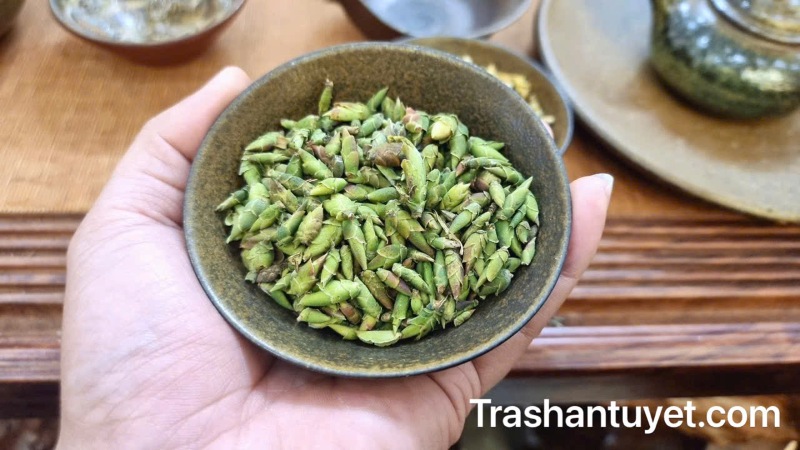 Trà móng rồng là một loại trà quý, có giá trị rất cao