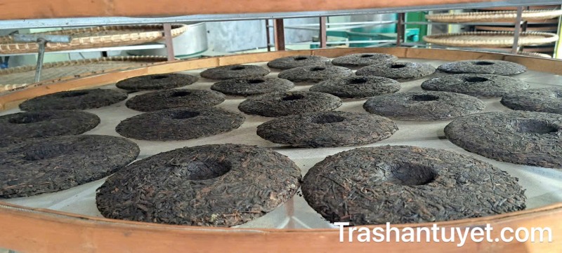 Những bánh trà Phổ Nhĩ chín sau khi ép xong