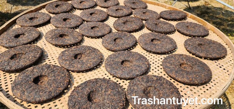 Sau khi ép xong, những bánh trà được phơi trong nắng gió tự nhiên