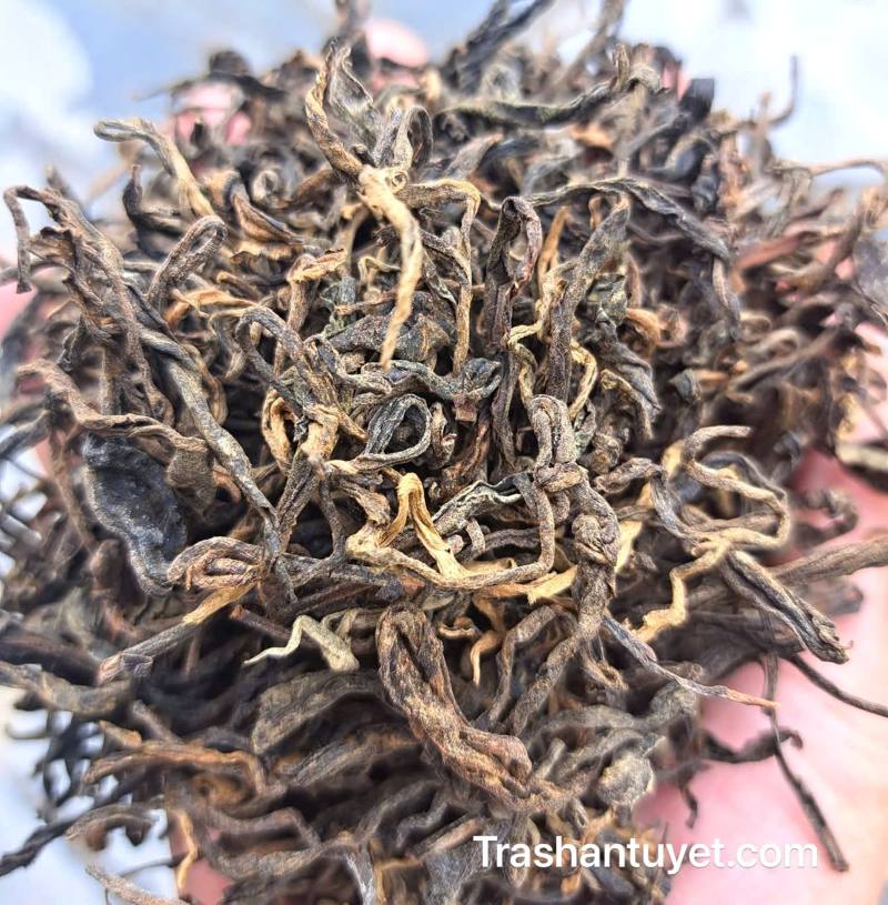 Trà phổ nhĩ rời sau khi đã lên men 12 tháng