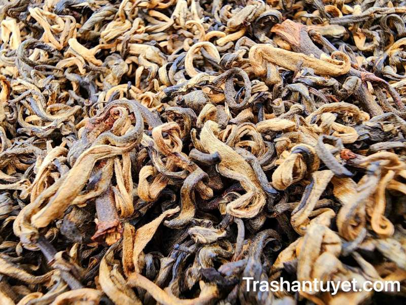 Hồng trà shan tuyết cánh xoăn