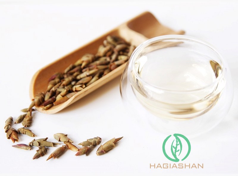 Trà móng rồng pha cho nước trắng trong hoặc vàng óng mật ong, hương vị trà đầm chất hoa lá núi rừng hoang dã.