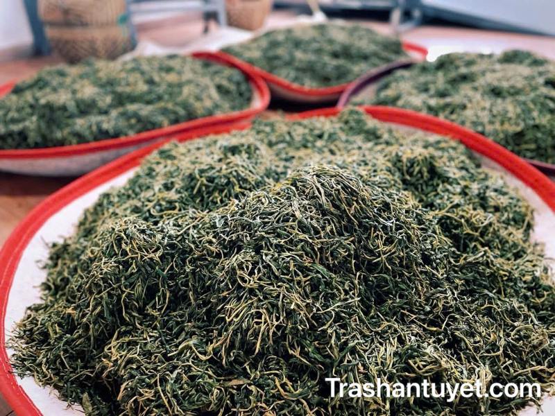Những nong trà sau khi đã hoàn thành công đoạn vò