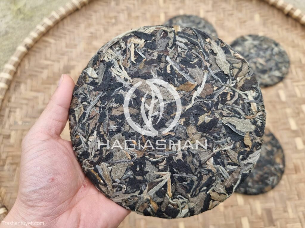 Bạch trà mẫu đơn - Ảnh 3