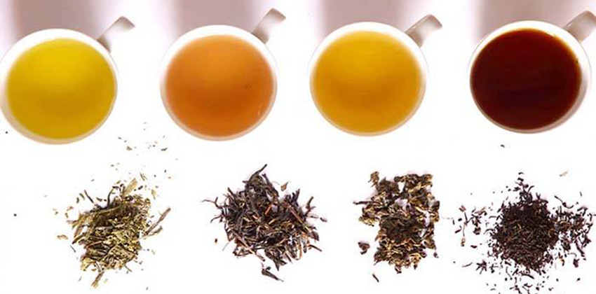 Các loại trà khác nhau sẽ có hàm lượng các vitamin và khoáng chất khác nhau.