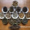 cac-loai-tra-shan-tuyet