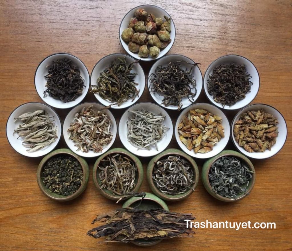 Các loại trà khác nhau sẽ có hương và vị hoàn toàn khác nhau