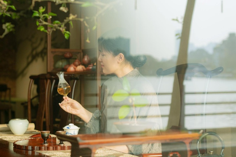 trà shan tuyết 2025